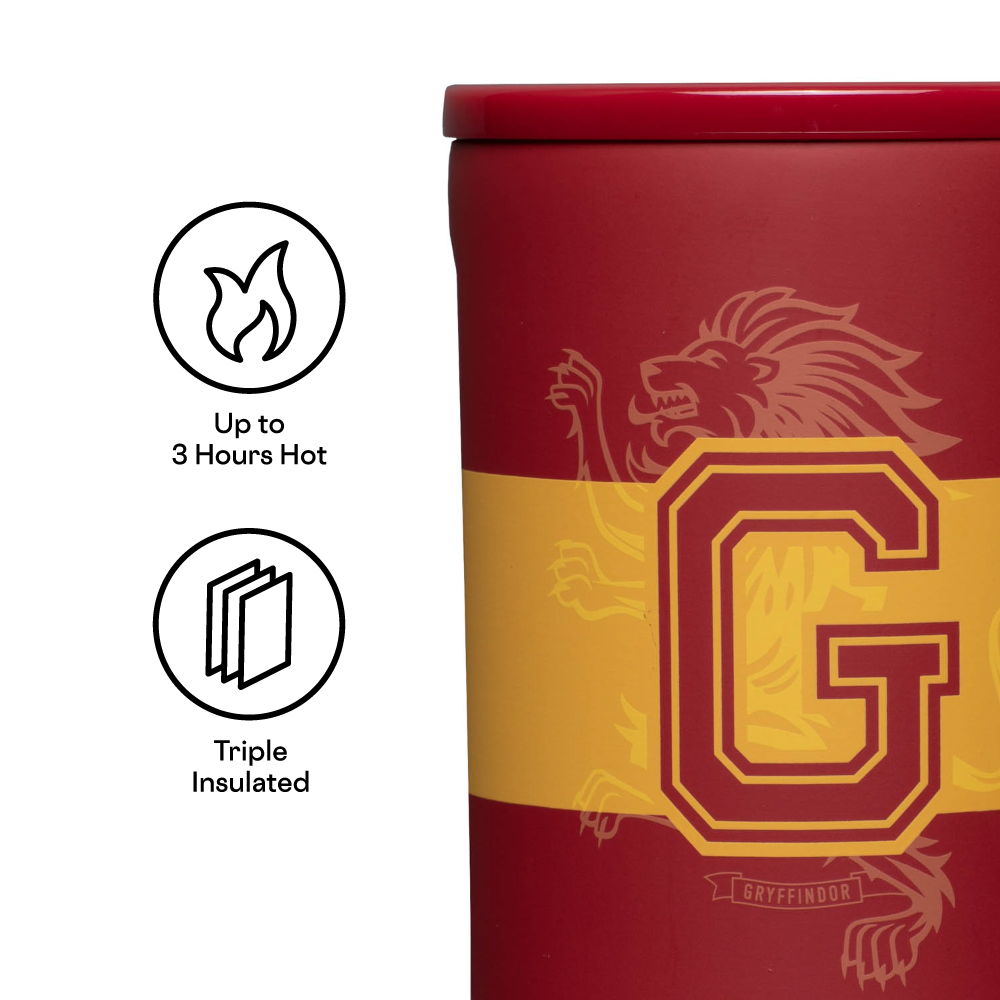 harry-potter-coffee-mug-k5 764e2ad461cd--HP2516-GRY-TFB.png