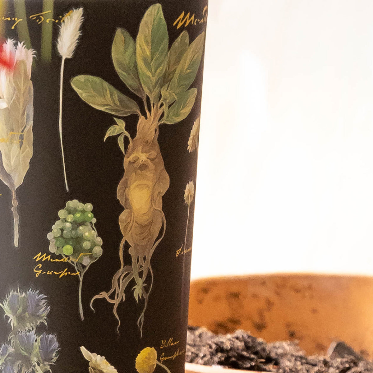 harry-potter-cold-cup-z2 Herbology-3.jpg